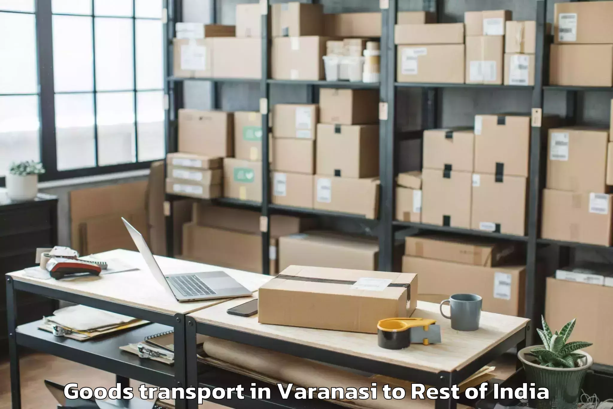 Expert Varanasi to Beerwah Goods Transport